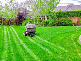 Riding Mower Mowing Lawn