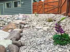 Rock Area With Plantings